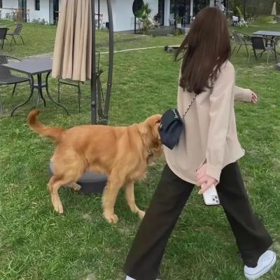 大声呼喊你回来